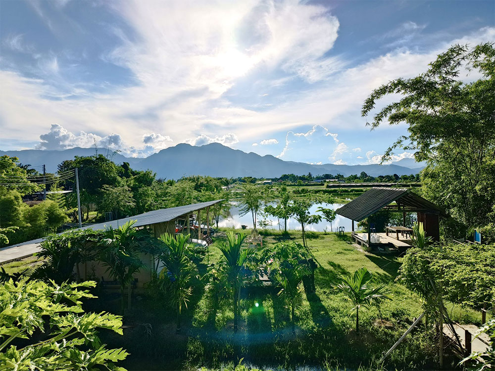 North Star Cafe and Farm Stay