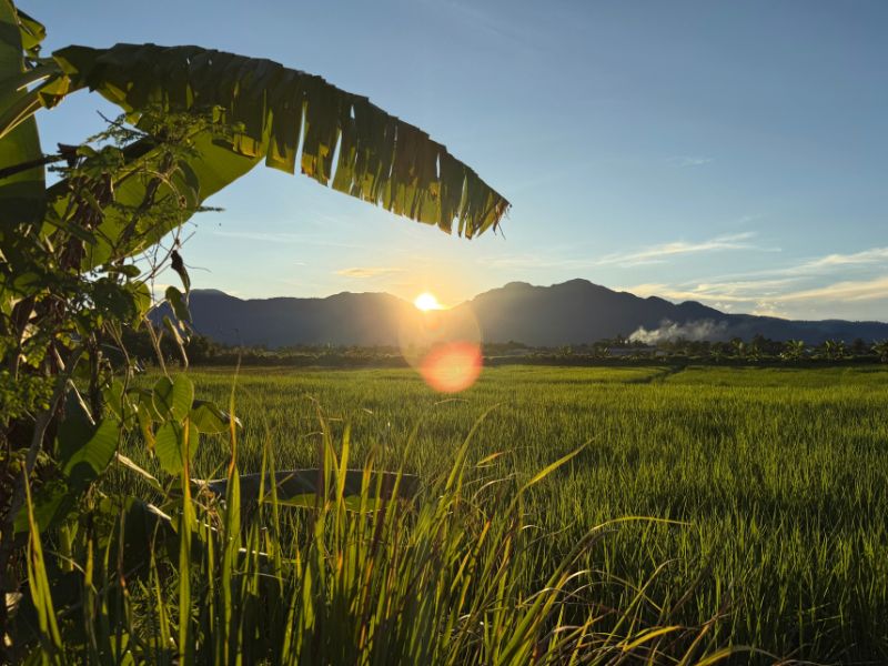 nscf farm view with sunset