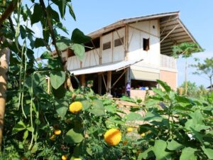 nscf hut near the garden