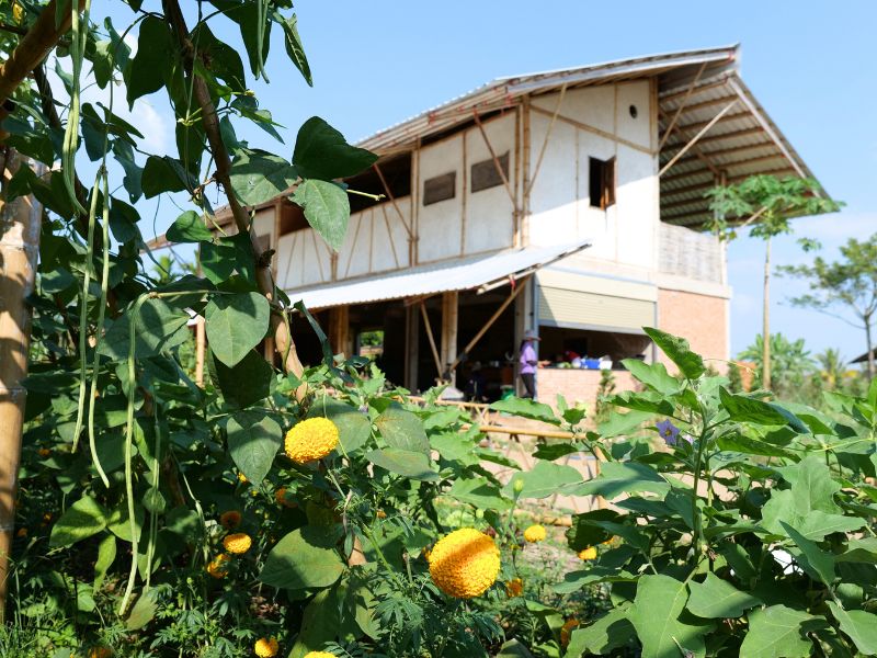 nscf hut near the garden