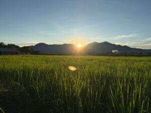 nscf mountain view with sunset