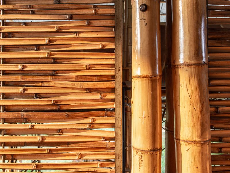 construction of first farm house_bamboo_2022 house made of bamboo